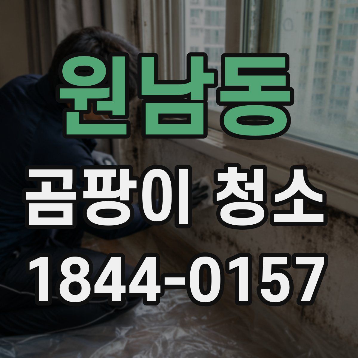 원남동 곰팡이 청소