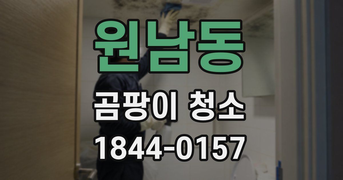 원남동 곰팡이 청소