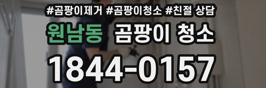 원남동 곰팡이 청소