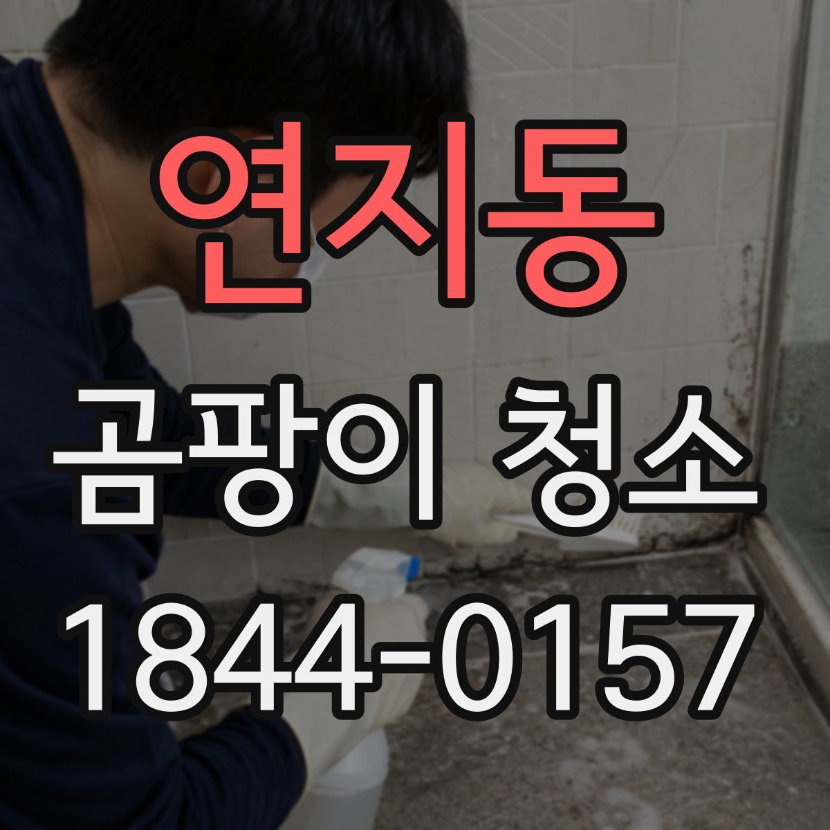 연지동 곰팡이 청소