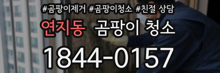 연지동 곰팡이 청소