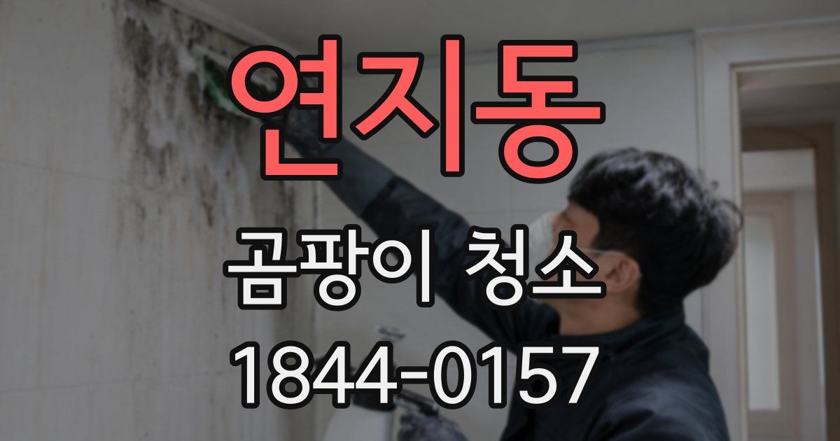 연지동 곰팡이 청소