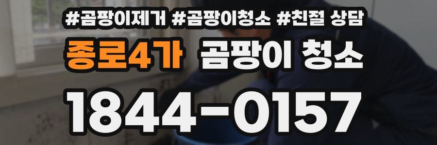 종로4가 곰팡이 청소