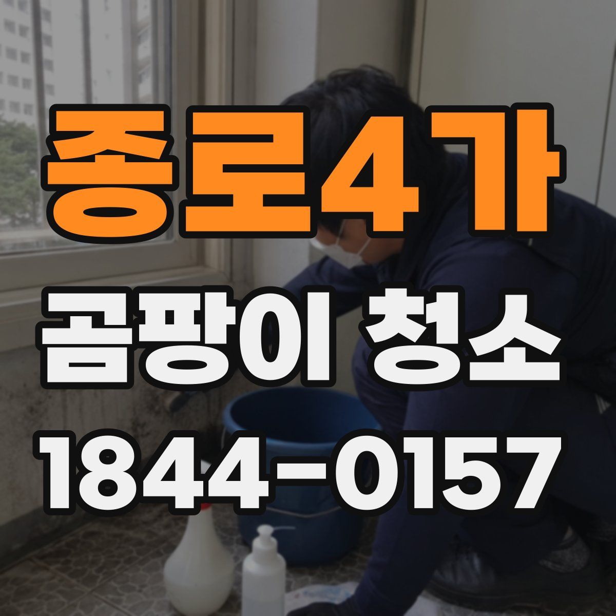종로4가 곰팡이 청소