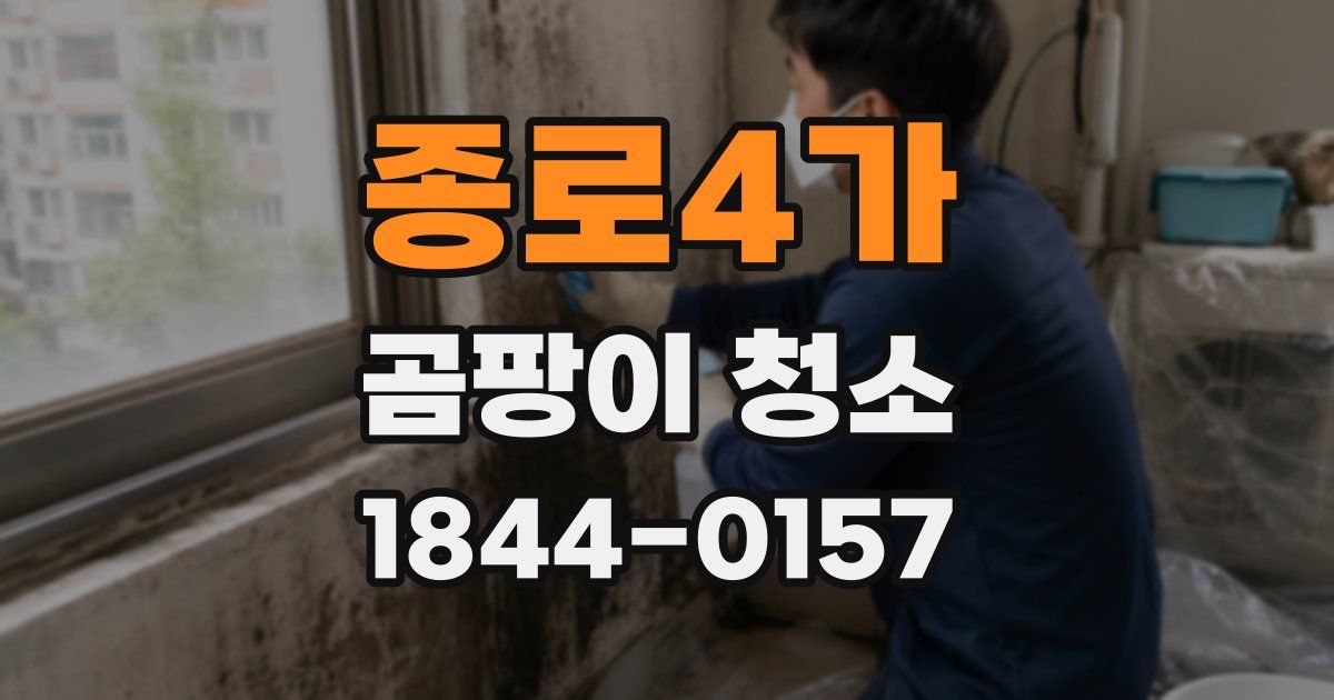 종로4가 곰팡이 청소