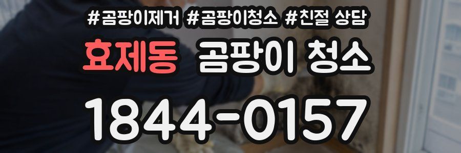 효제동 곰팡이 청소