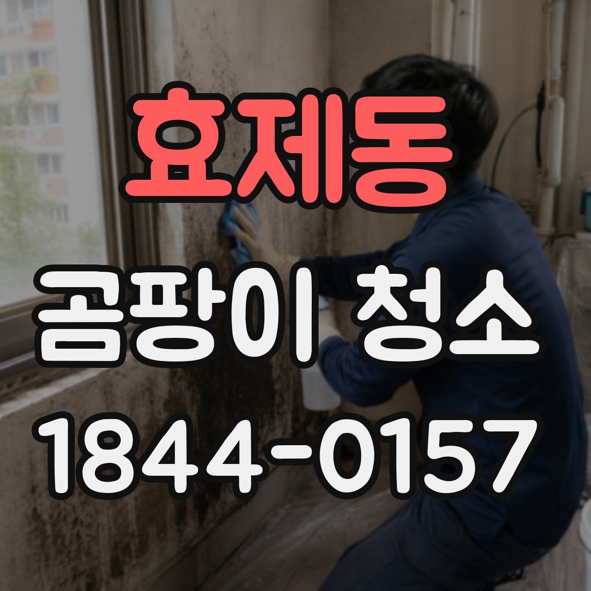 효제동 곰팡이 청소