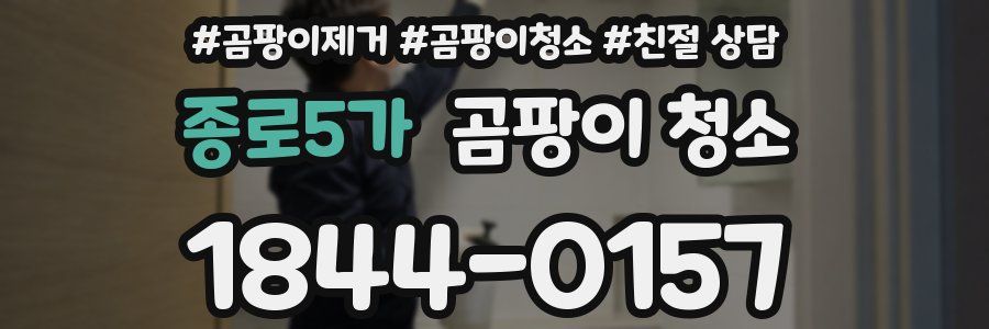 종로5가 곰팡이 청소