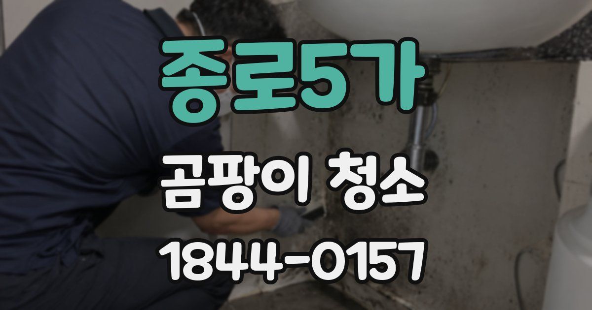 종로5가 곰팡이 청소