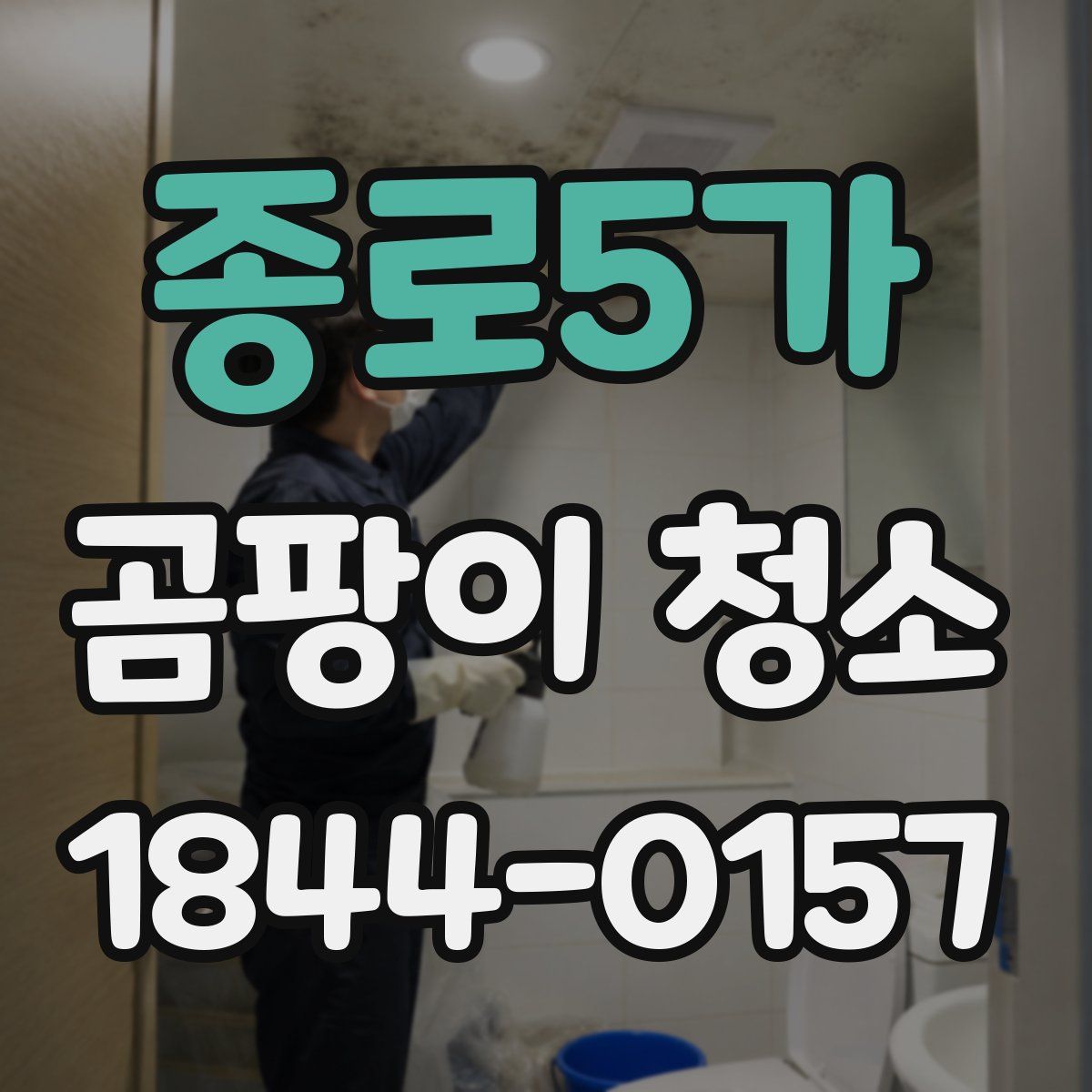 종로5가 곰팡이 청소