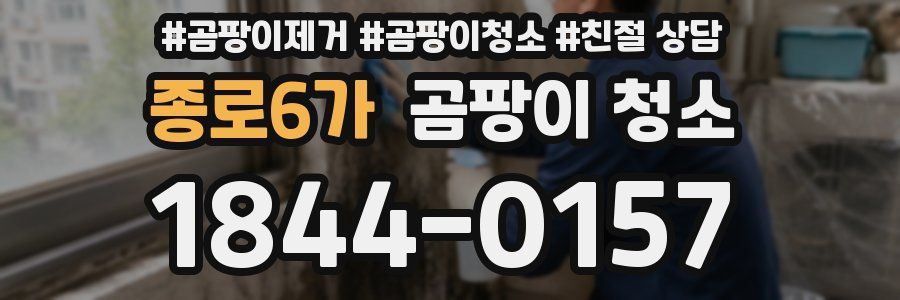 종로6가 곰팡이 청소