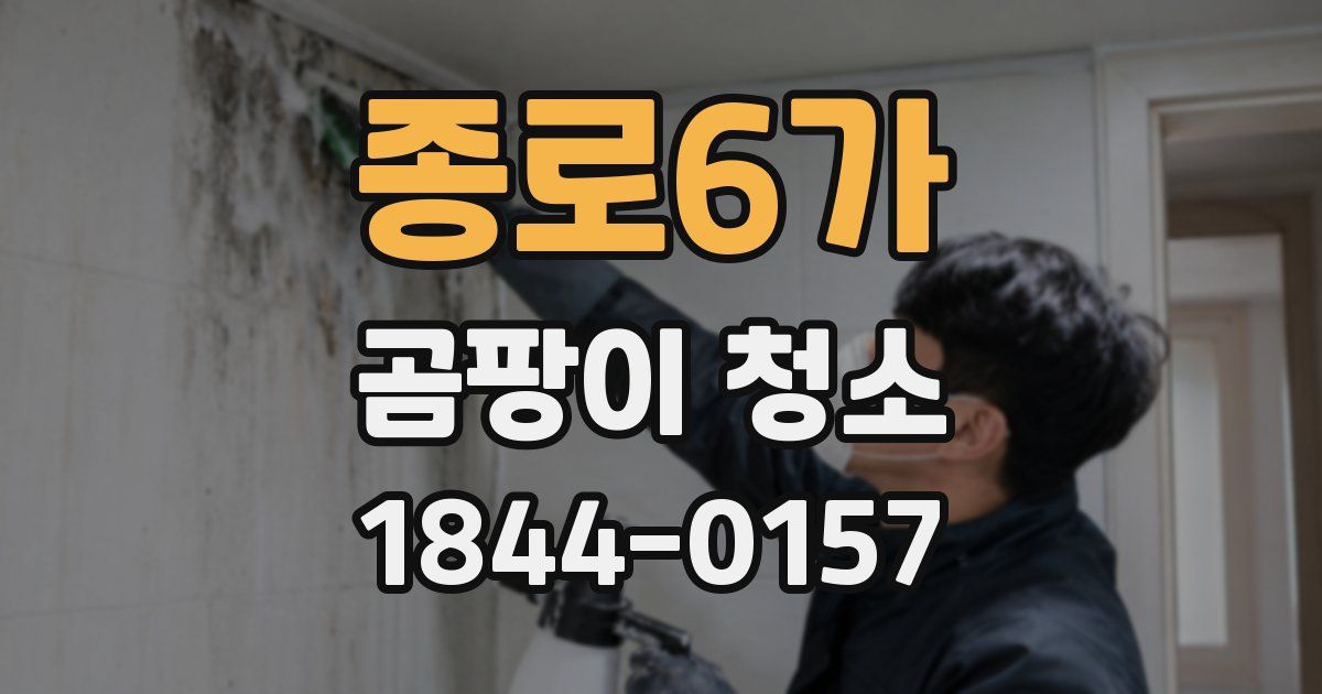 종로6가 곰팡이 청소