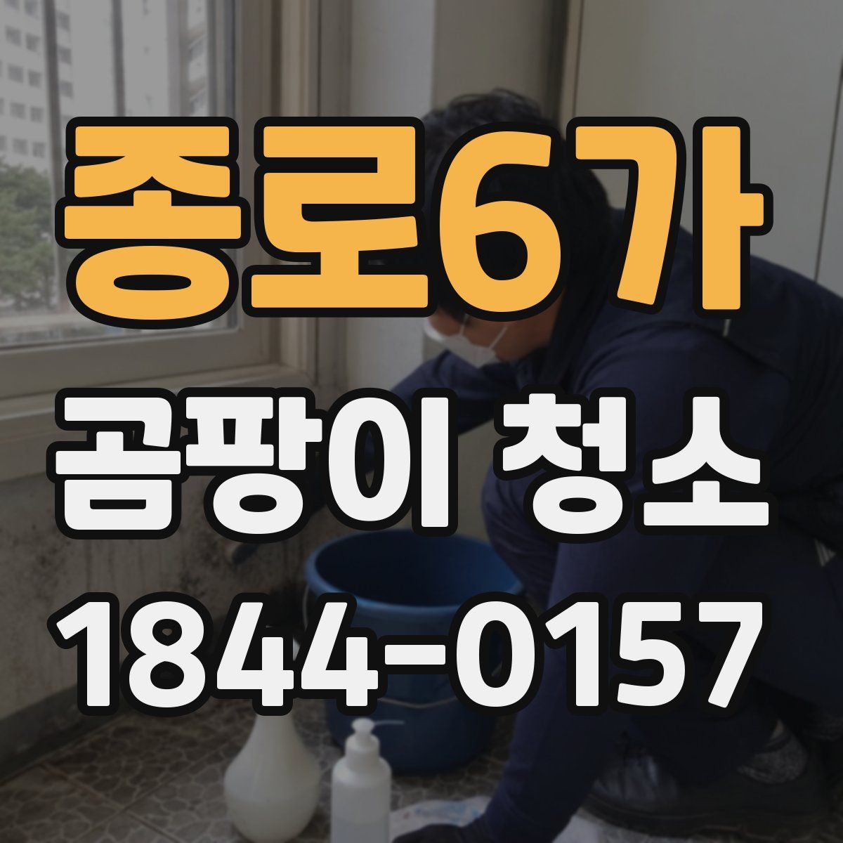 종로6가 곰팡이 청소
