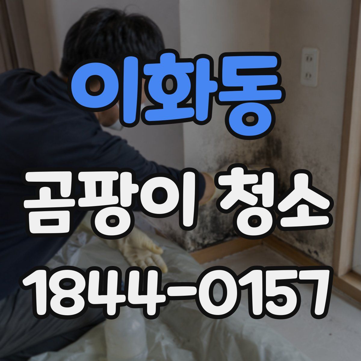 이화동 곰팡이 청소