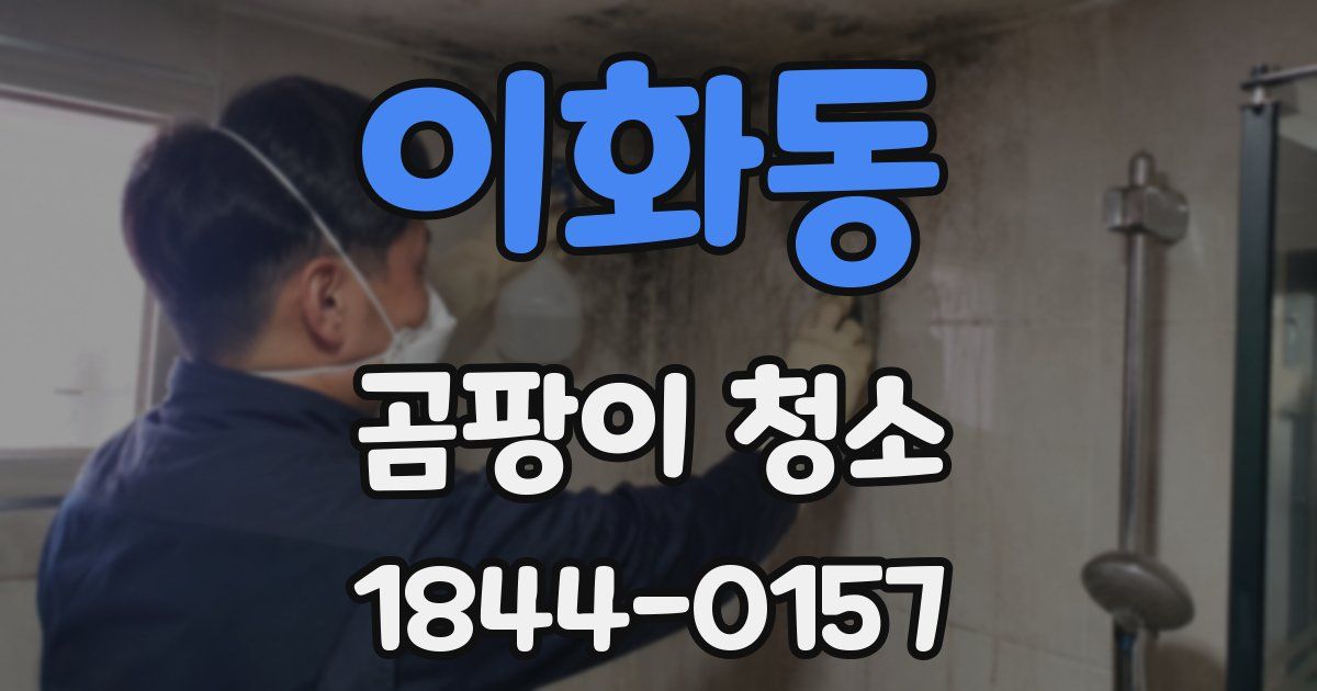 이화동 곰팡이 청소