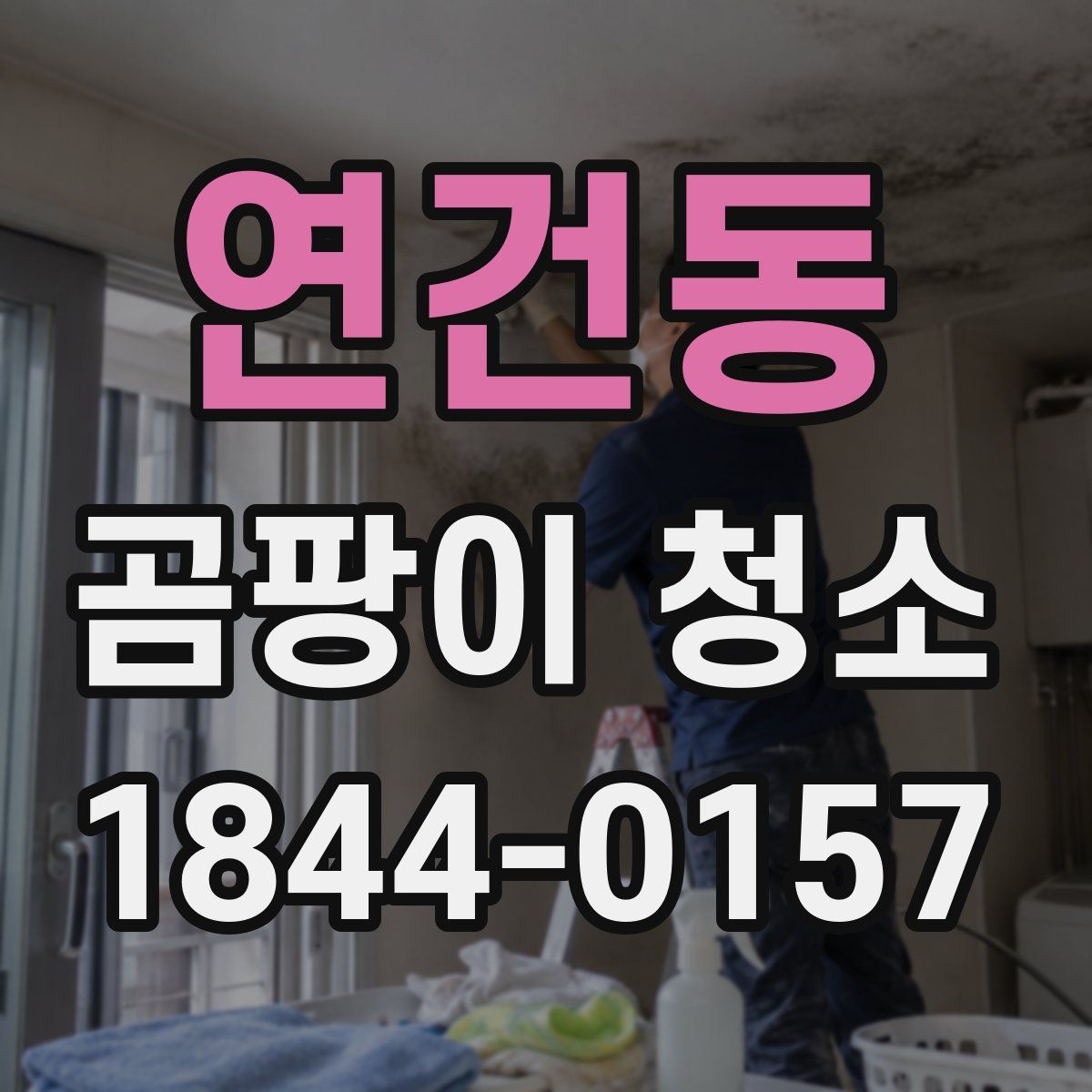 연건동 곰팡이 청소