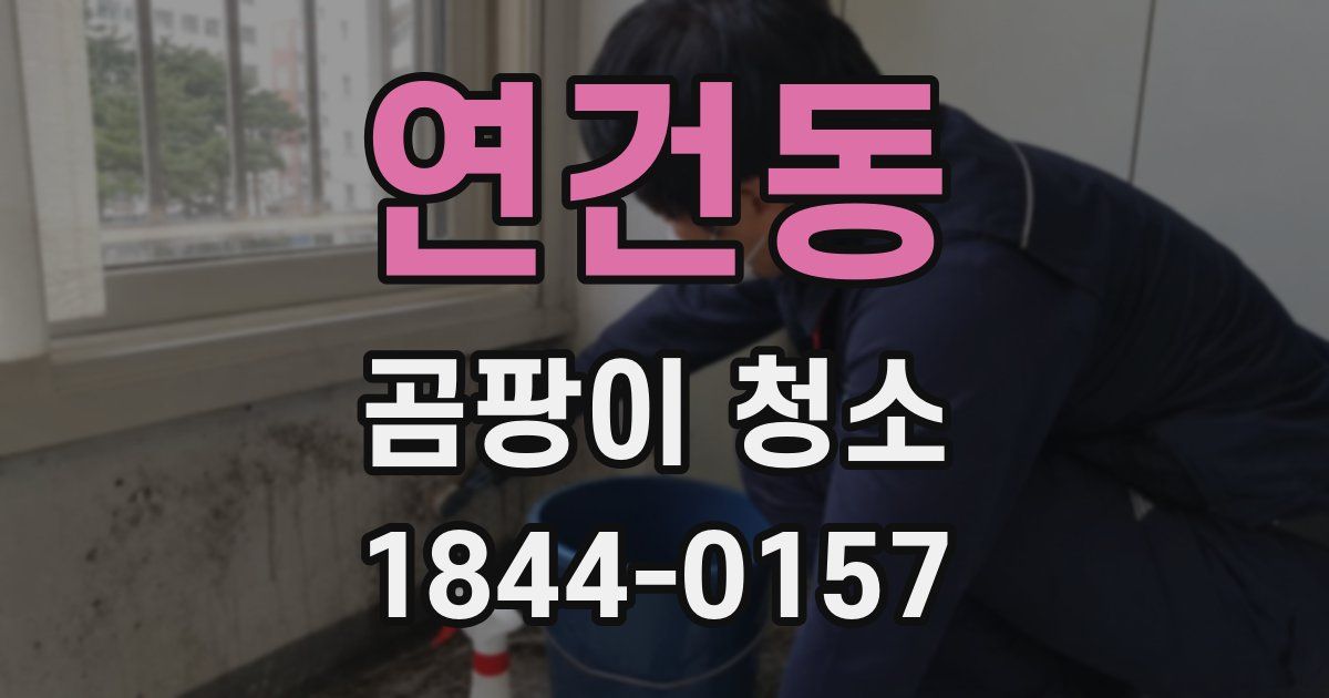 연건동 곰팡이 청소