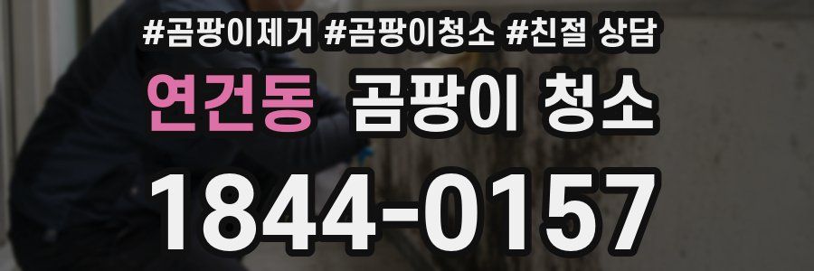 연건동 곰팡이 청소