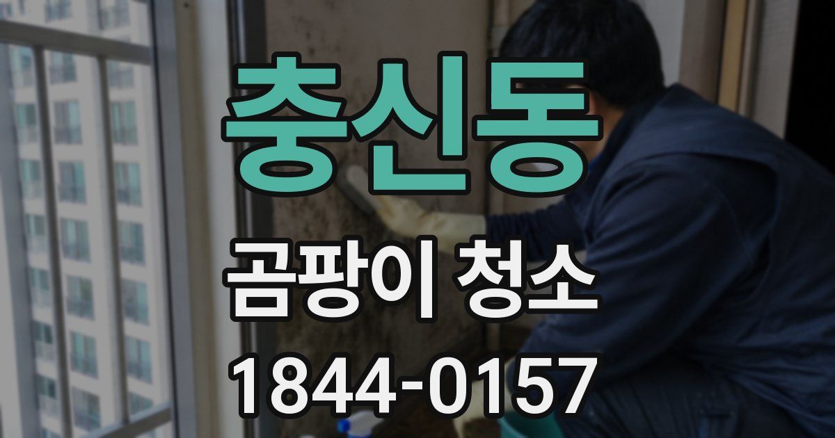 충신동 곰팡이 청소