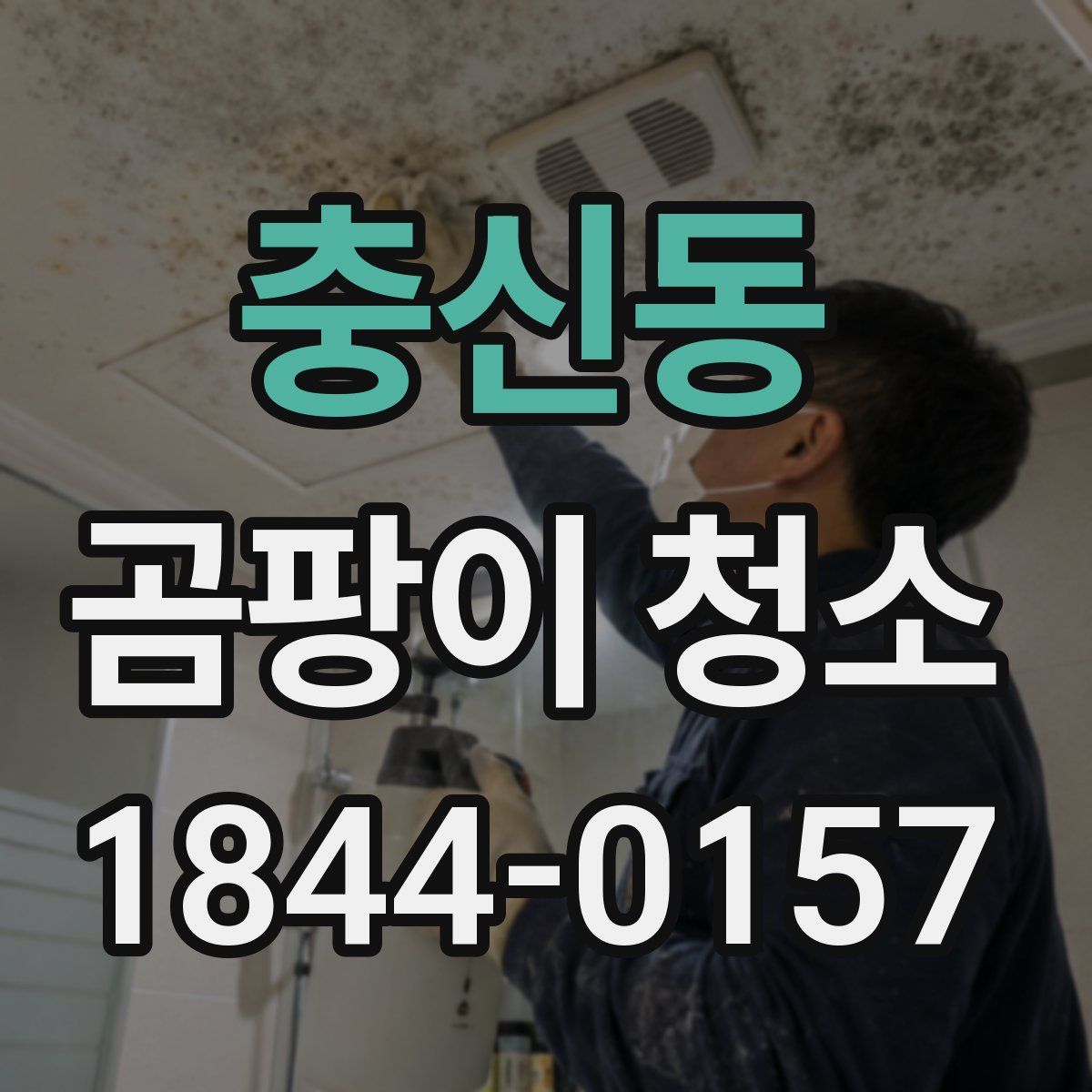 충신동 곰팡이 청소