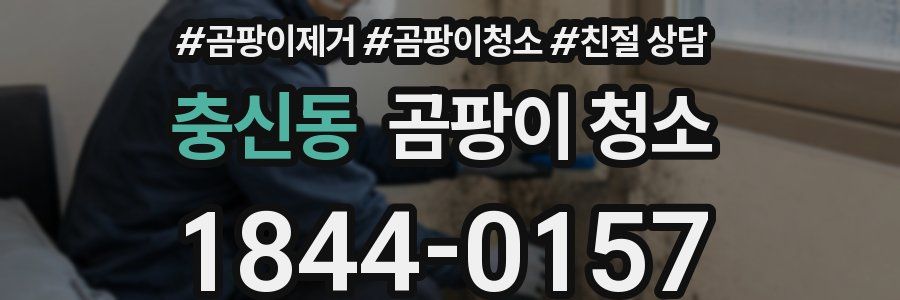 충신동 곰팡이 청소