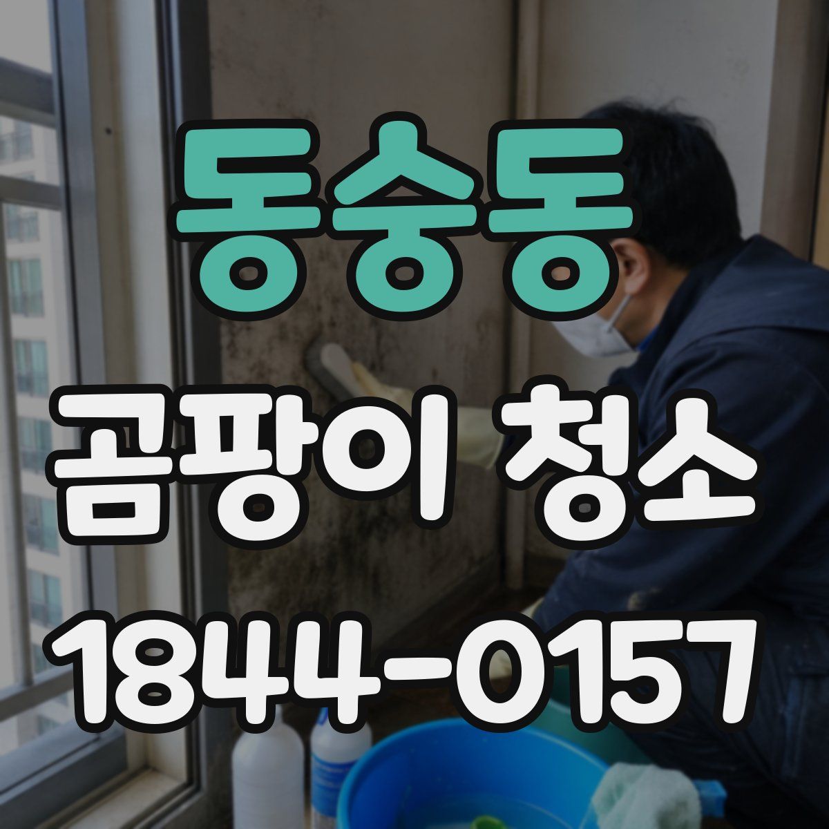 동숭동 곰팡이 청소
