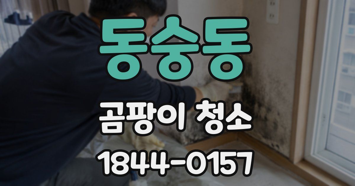 동숭동 곰팡이 청소