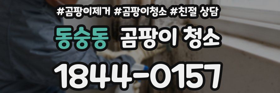 동숭동 곰팡이 청소