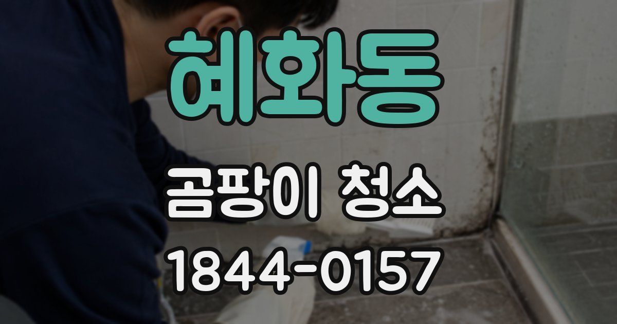 혜화동 곰팡이 청소