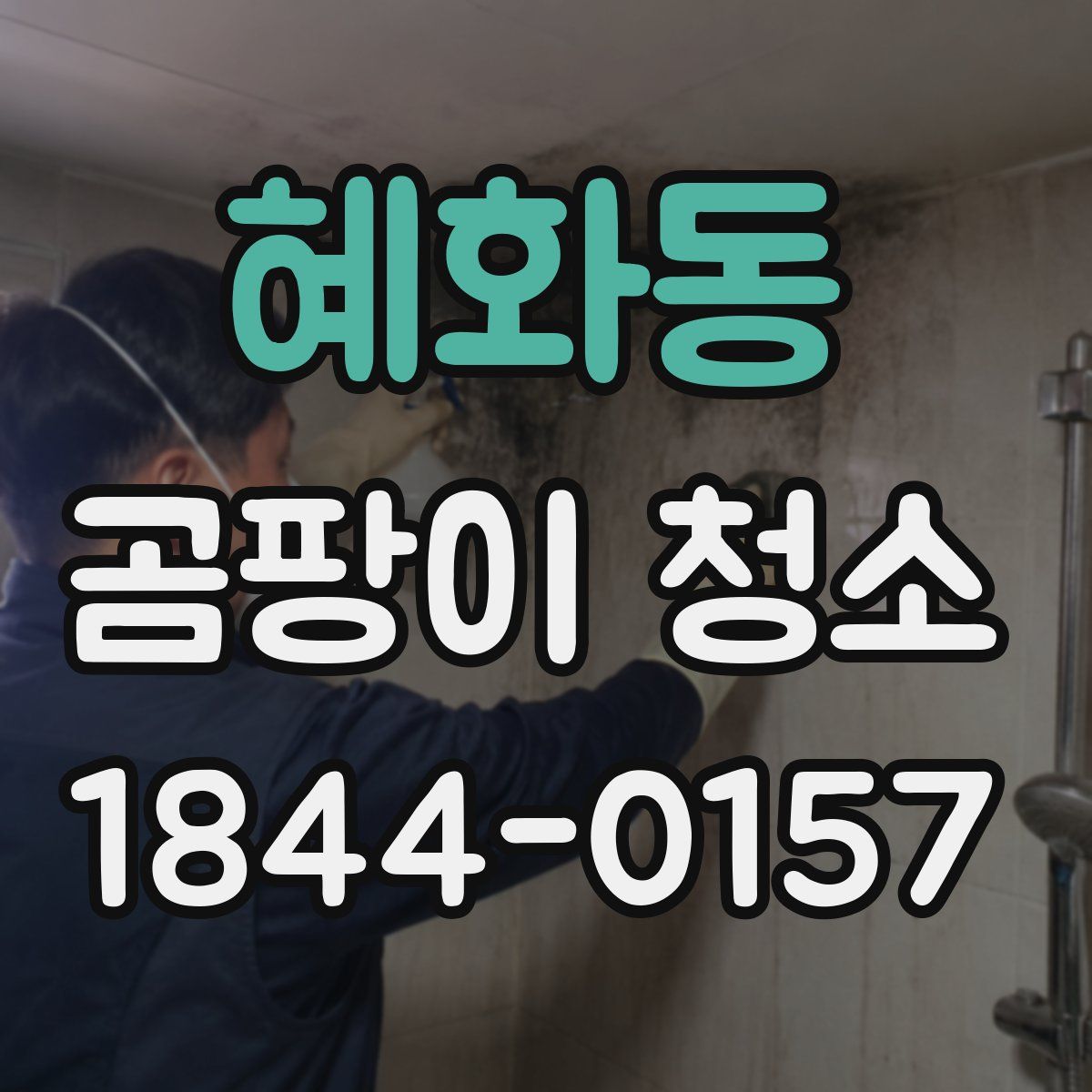혜화동 곰팡이 청소