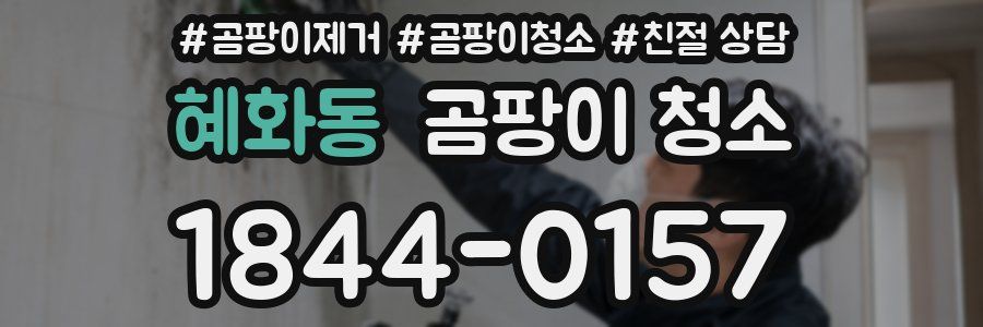 혜화동 곰팡이 청소