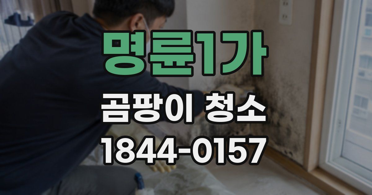 명륜1가 곰팡이 청소