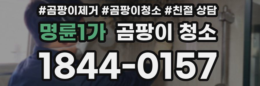 명륜1가 곰팡이 청소
