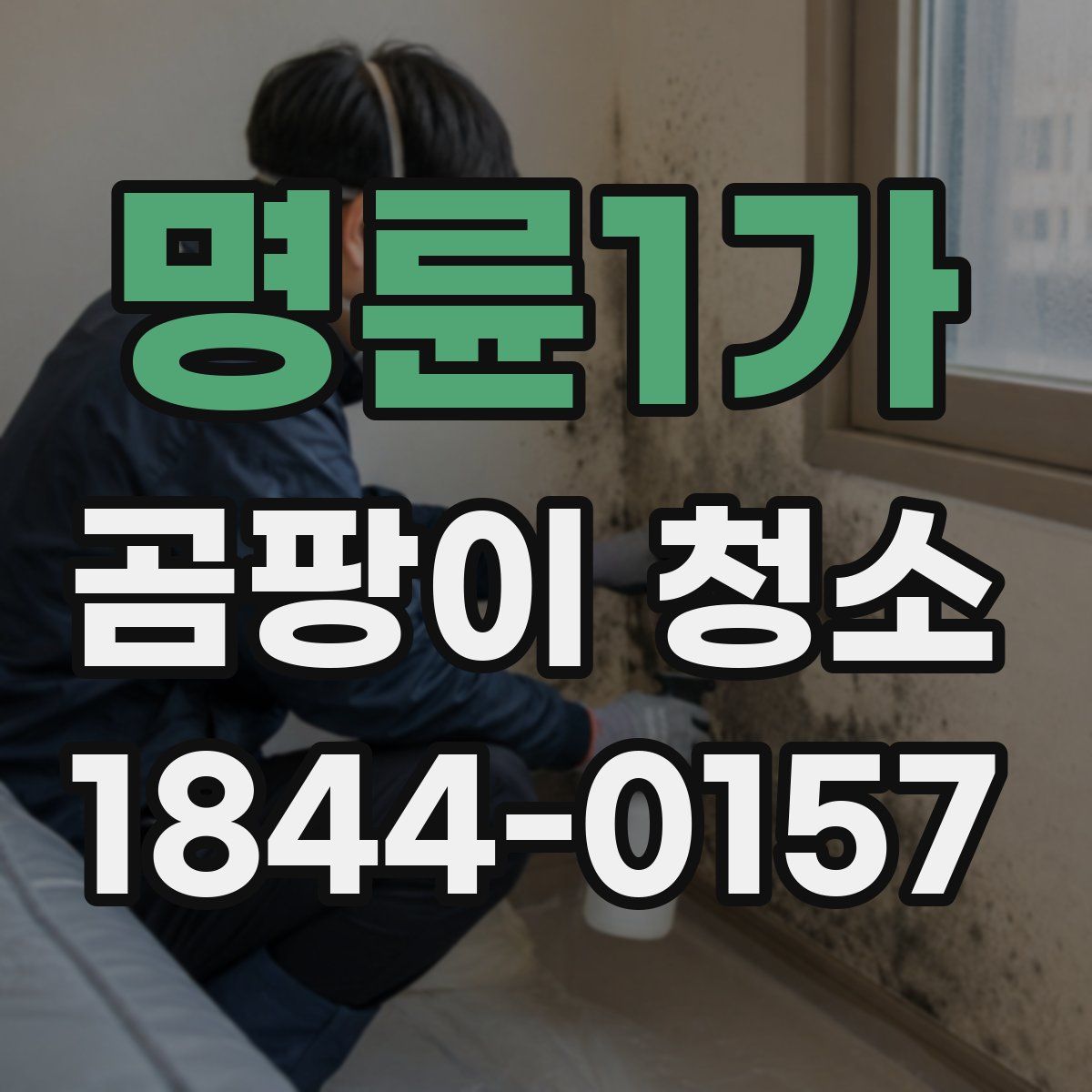 명륜1가 곰팡이 청소
