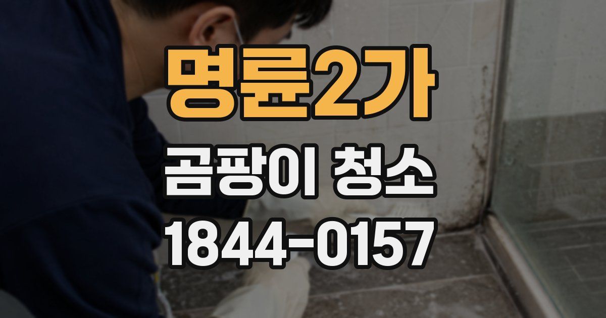 명륜2가 곰팡이 청소