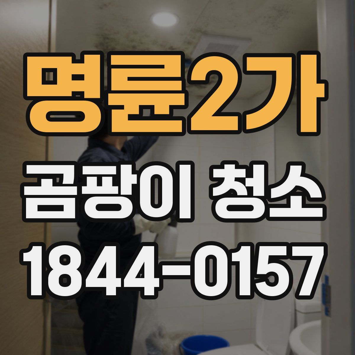 명륜2가 곰팡이 청소