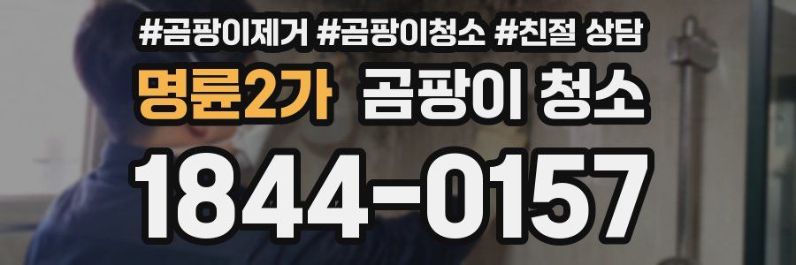 명륜2가 곰팡이 청소