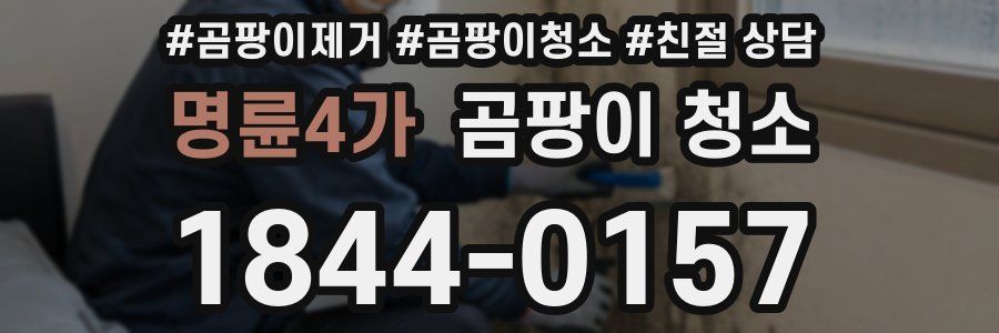 명륜4가 곰팡이 청소