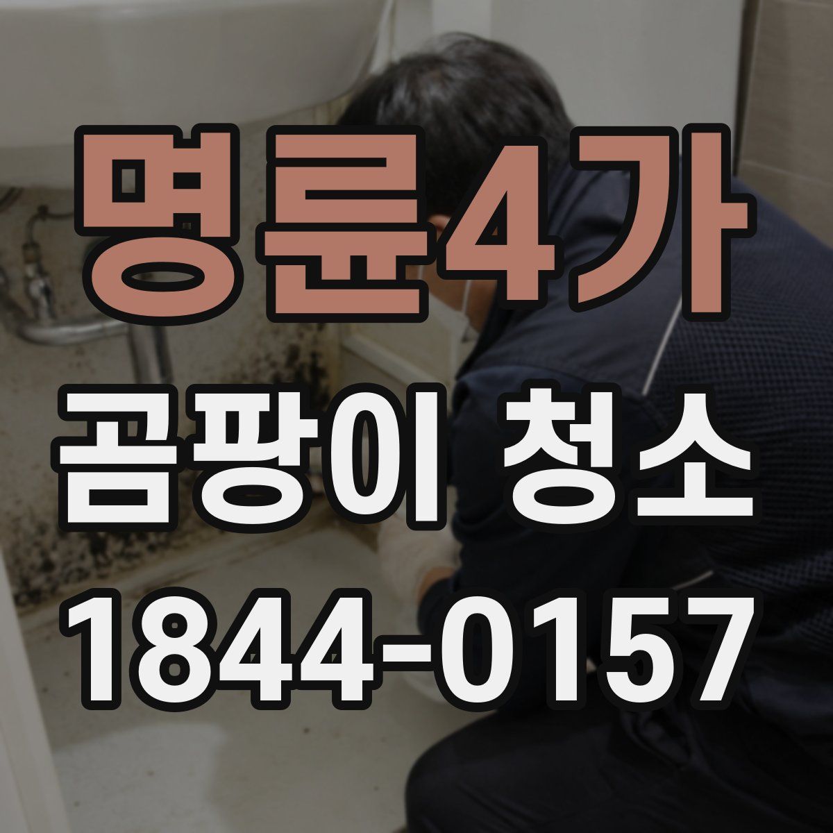 명륜4가 곰팡이 청소