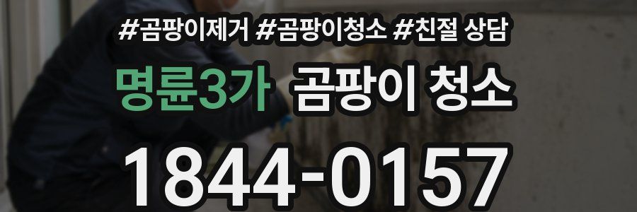 명륜3가 곰팡이 청소