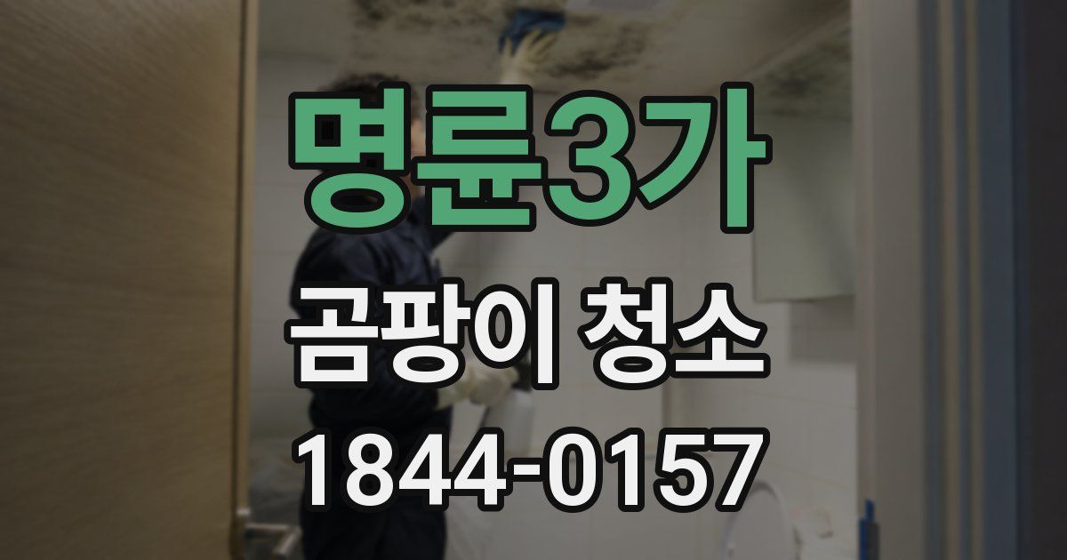 명륜3가 곰팡이 청소