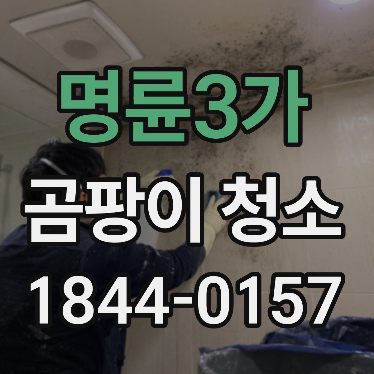 명륜3가 곰팡이 청소