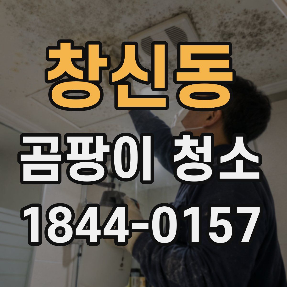 창신동 곰팡이 청소
