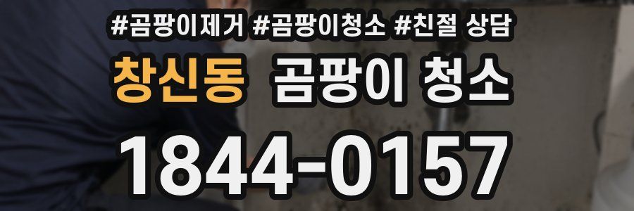 창신동 곰팡이 청소