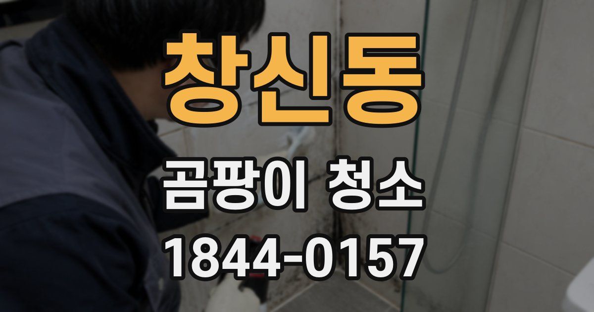 창신동 곰팡이 청소