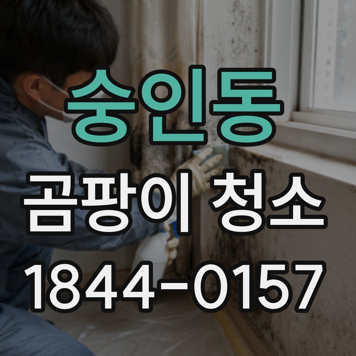 숭인동 곰팡이 청소