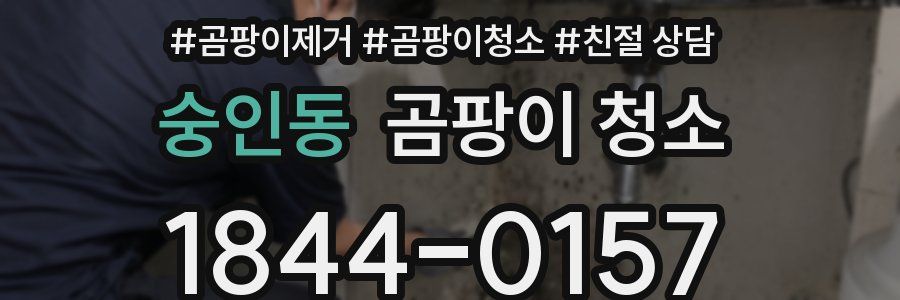 숭인동 곰팡이 청소