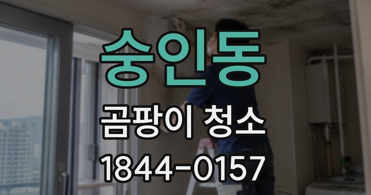 숭인동 곰팡이 청소
