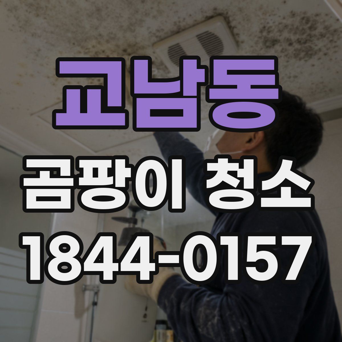 교남동 곰팡이 청소