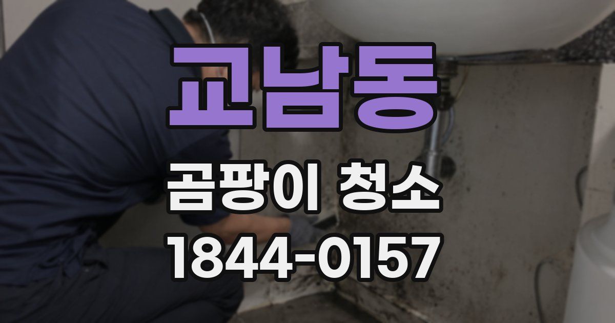 교남동 곰팡이 청소